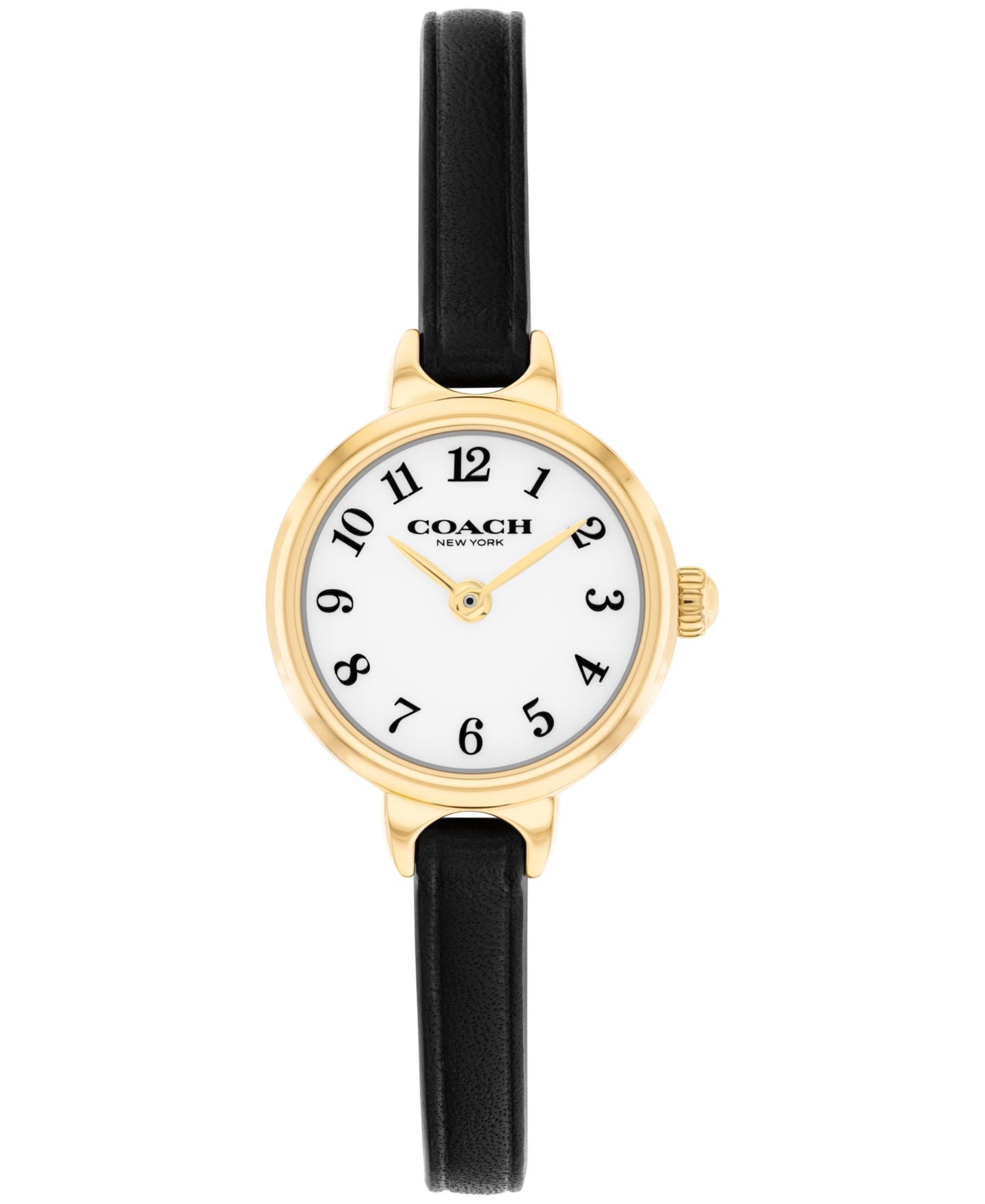 Женские часы COACH Iris Black Leather Strap Watch, 22.5mm — фото 1
