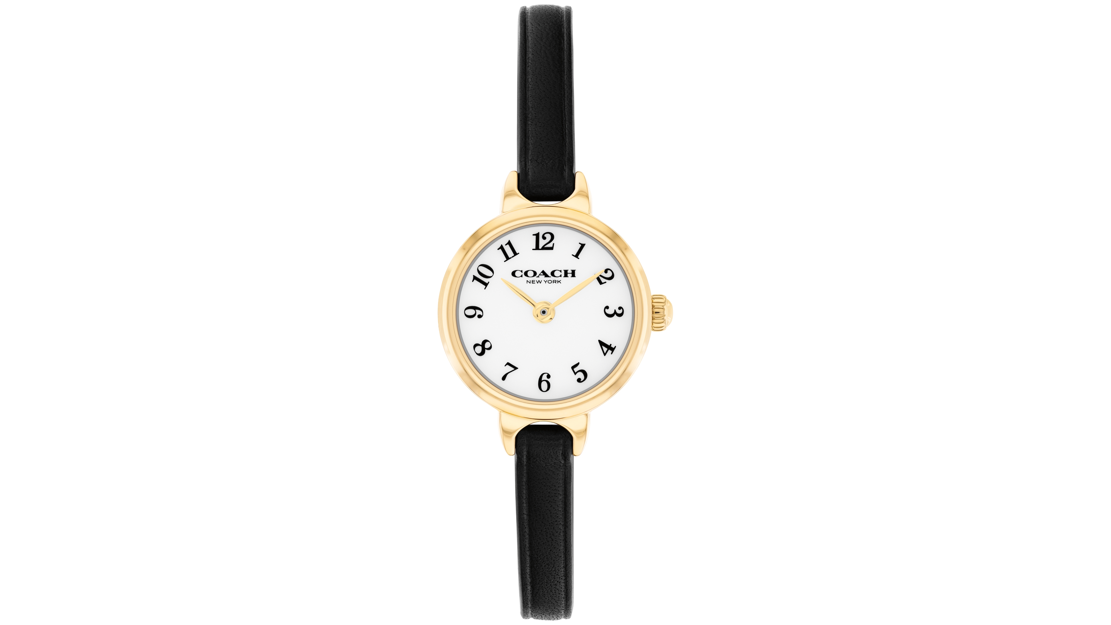 Coach Women's Iris Black Leather Strap Watch, 22.5mm