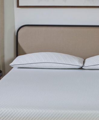 Foam Density Pillow in Firm, Queen