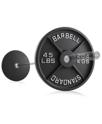 Set of 2 Standard Cast Iron Olympic 2-inch Weight Plates (45 LB each)