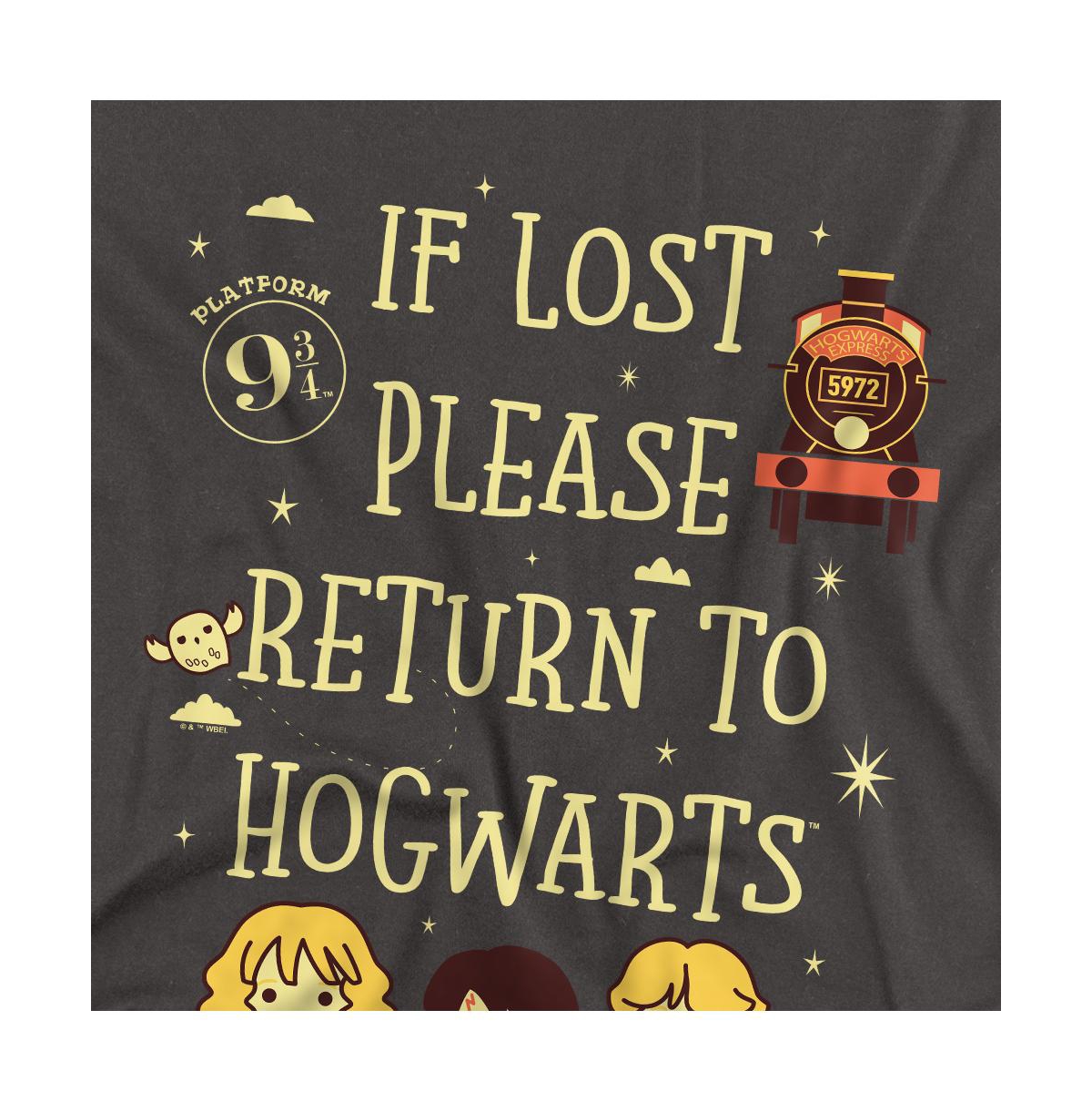 Harry Potter Men's Return To Hogwarts T Shirt