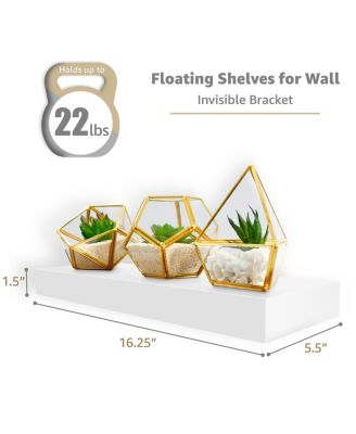 5 Pack 16 Inch Long Floating Wall Shelves for Bedroom, Decor, Kitchen, Living Room - for Trophies, Frames, Bookshelf