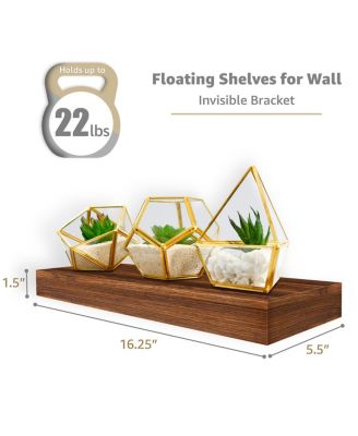 2 Pack 16 Inch Coastal Rectangle Floating Shelves - for Home Decor to Display Trophies, Books, Frames, and more