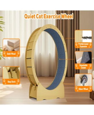 42" Cat Treadmill Wheel with Detachable Carpeted Runway in Yellow