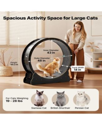 48 in Wooden Cat Running Wheel with Carpeted Runway