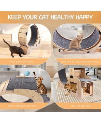 Upgraded Cat Wheel Exerciser with Silent Wheel in Natural Wood