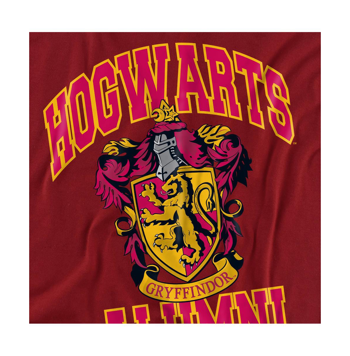 Harry Potter Men's Hogwarts Gryffindor Alumni T Shirt