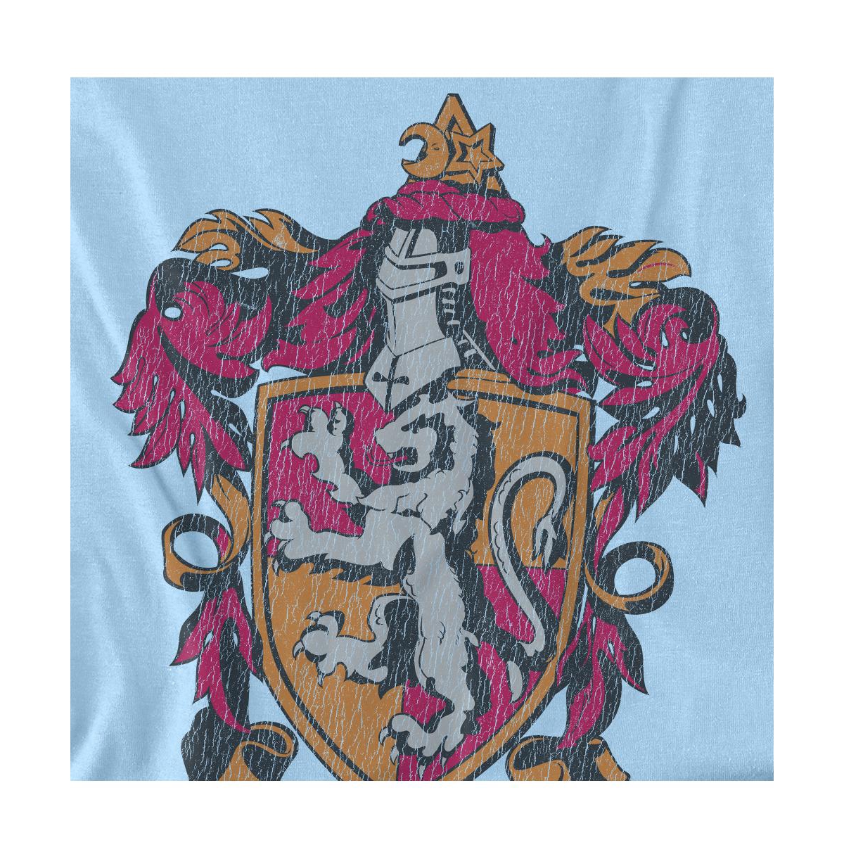 Harry Potter Men's Gryffindor 2 T Shirt