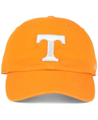 Tennessee Volunteers Clean Up Cap