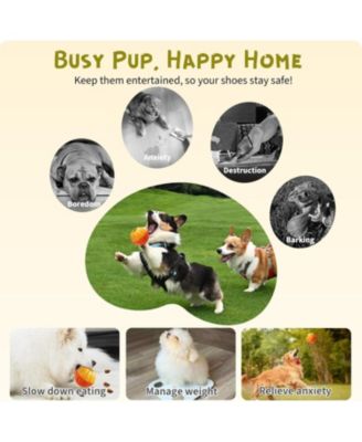 Frozen Treat Dog Puzzle Enrichment Ball - Slow Food Training to Relieve Boredom,Durable Natural Chew Toy for Small Medium