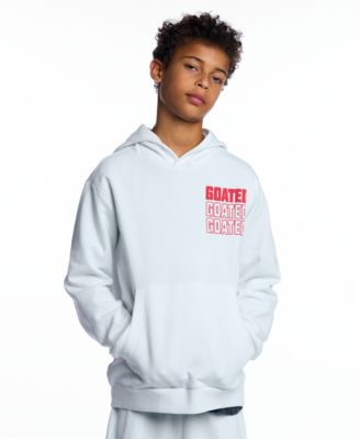 Boys' 5-20 Graphic Long-Sleeve Hooded Sweatshirt