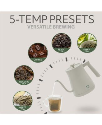 1L Gooseneck Electric Kettle