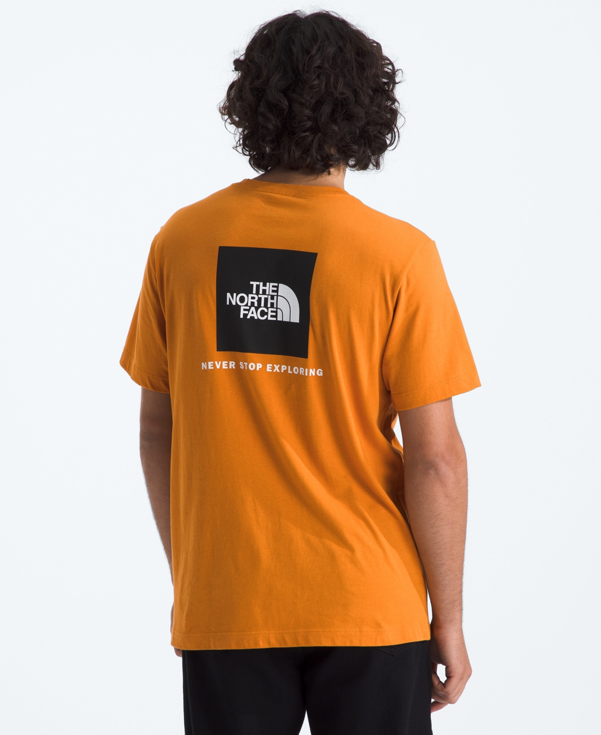 The North Face Men's Evolution Box Nse Short-Sleeve T-Shirt