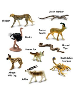 - Sahara Desert Animals