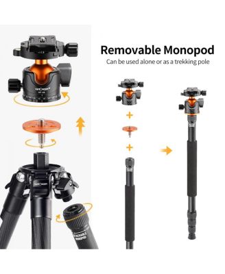 A254C4 4-Section Carbon Fiber Travel Tripod/Monopod with Ball Head