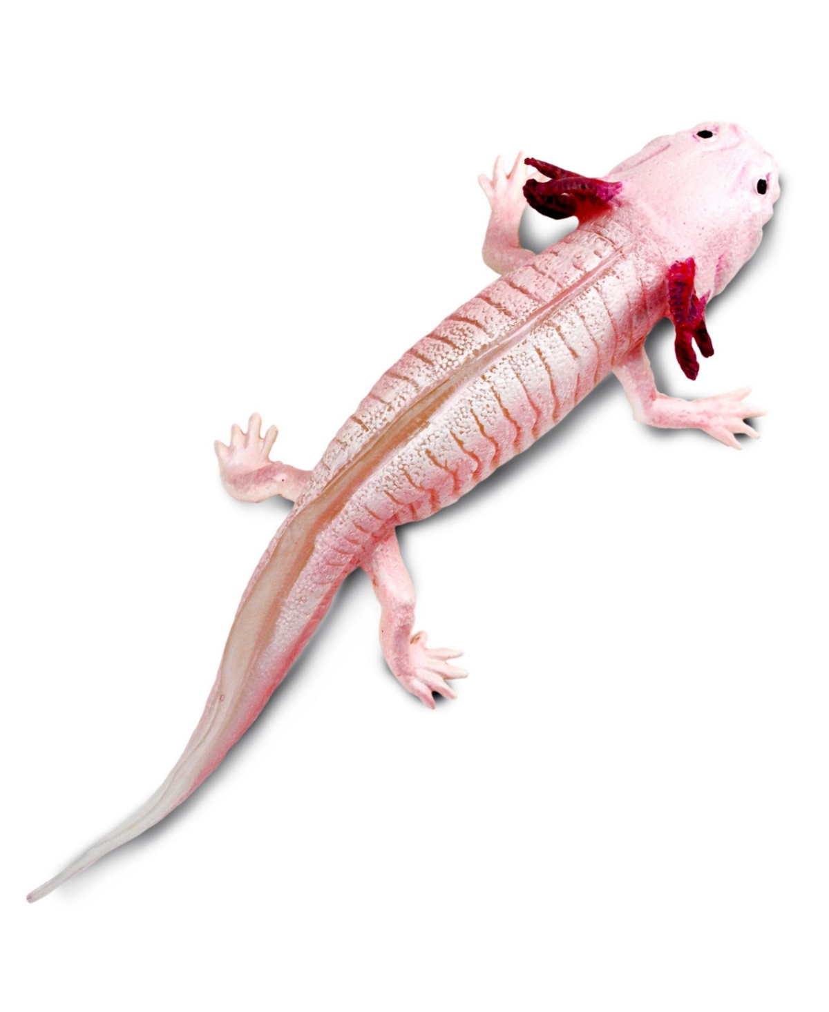 Safari Ltd. Axolotl