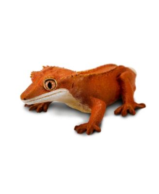 - Crested Gecko