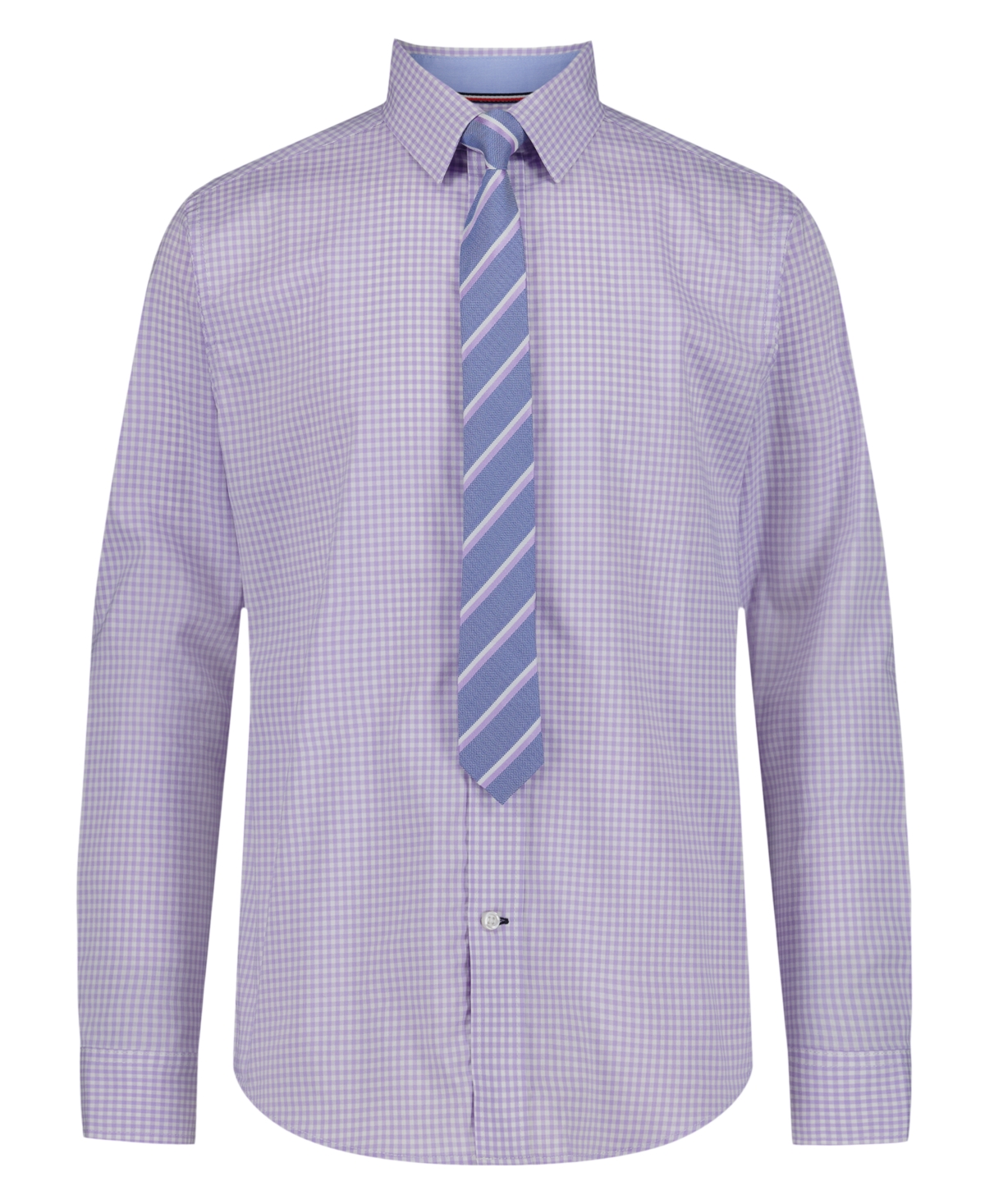 Tommy Hilfiger Boys' 8-20 Long-Sleeve Stretch Mini Gingham Shirt - Purple