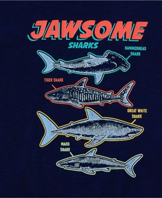 Big Boys Short Sleeve Tee and Shorts Pajama Set