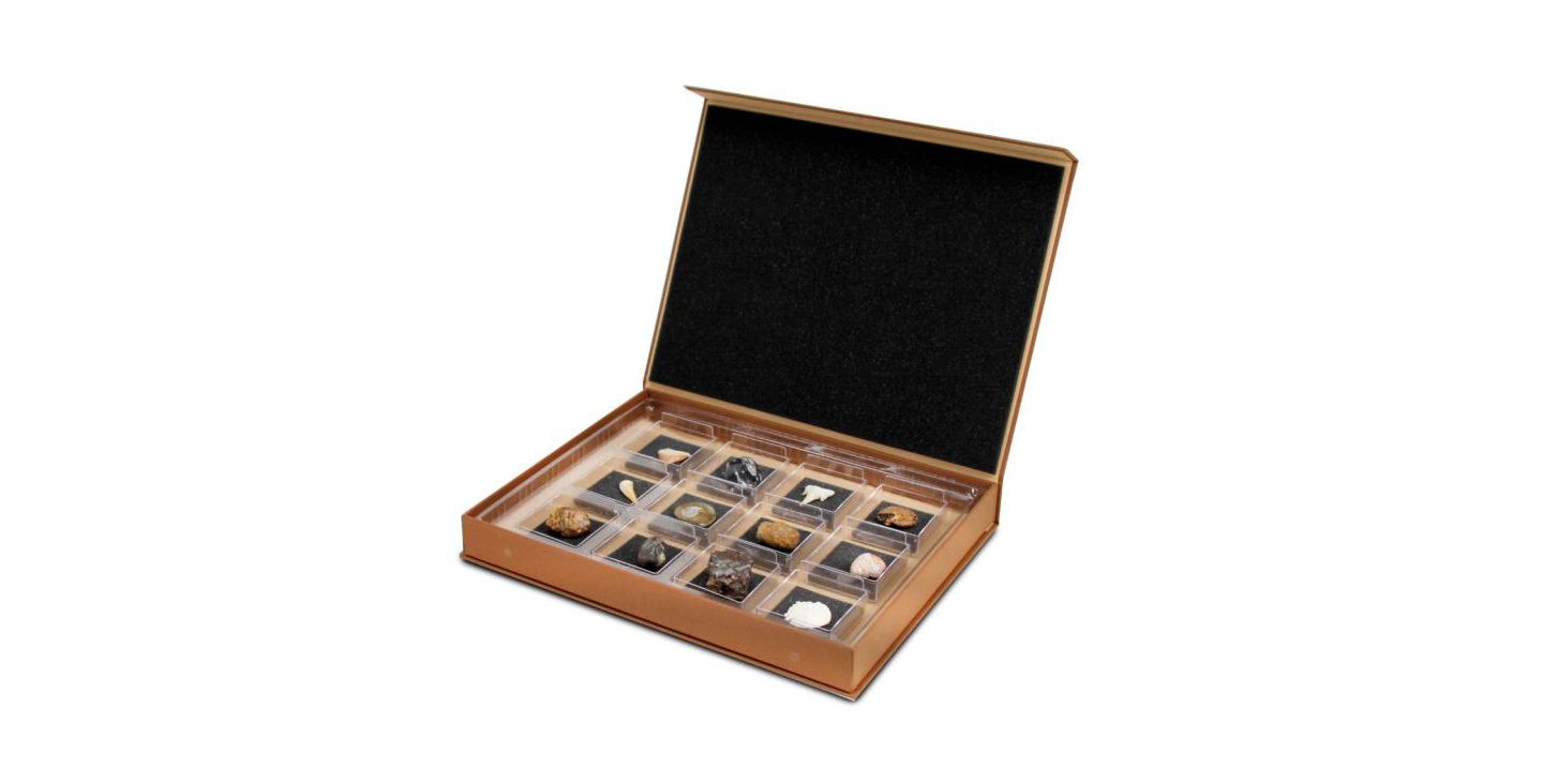 Детские игрушки Geoworld The Nature Collection - Fossils Set 1 — фото 1