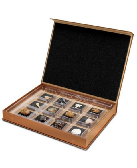 Детские игрушки Geoworld The Nature Collection - Fossils Set 1
