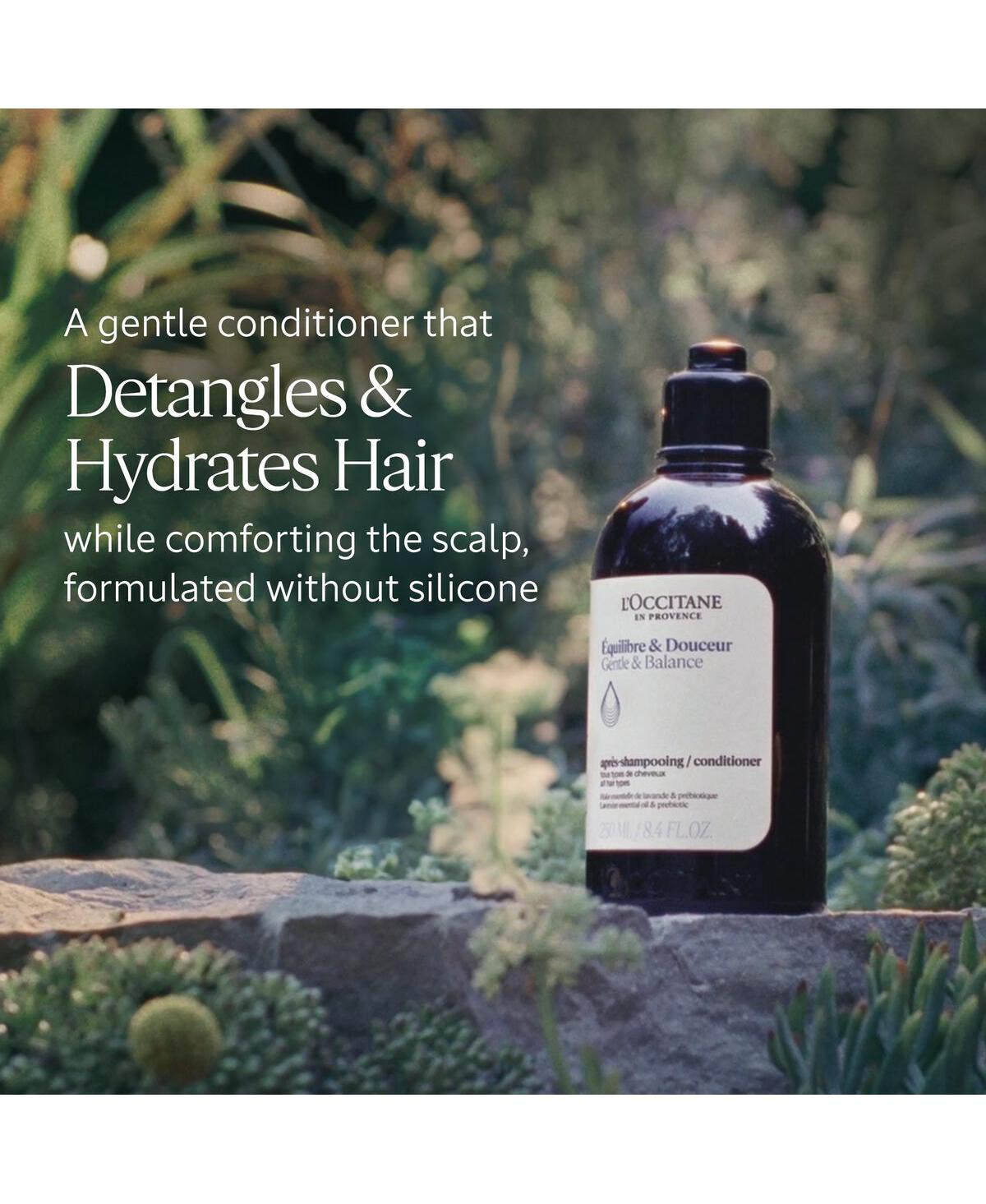 L'Occitane Gentle & Balance Conditioner 16.90 fl oz