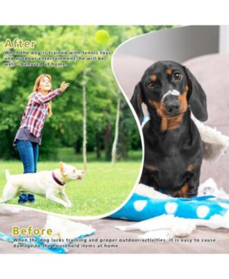 Pack of 6 Small Tennis Balls 2 Inch Size for Dogs High Visibility Yellow Pet Playing Balls for Automatic Ball Launchers