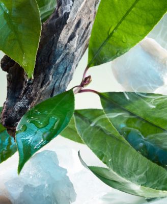 Pour Homme Eau De Parfum, 1.7 oz.