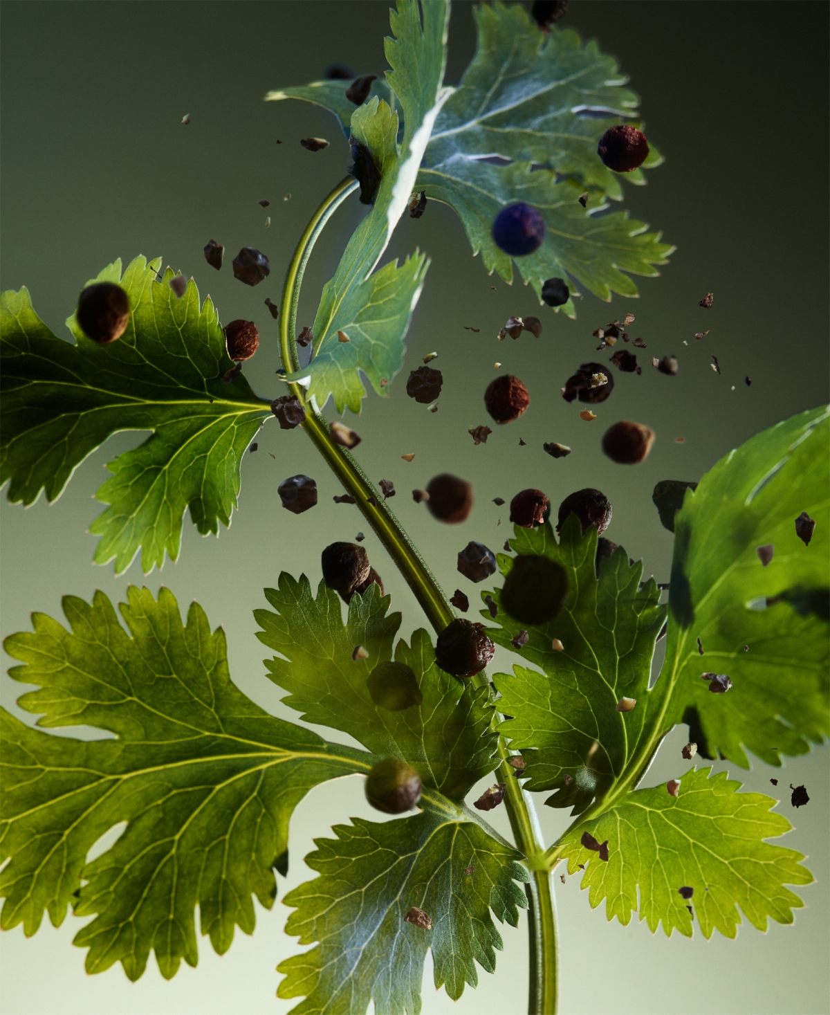 Bvlgari Man Wood Essence Parfum, 3.4 oz.