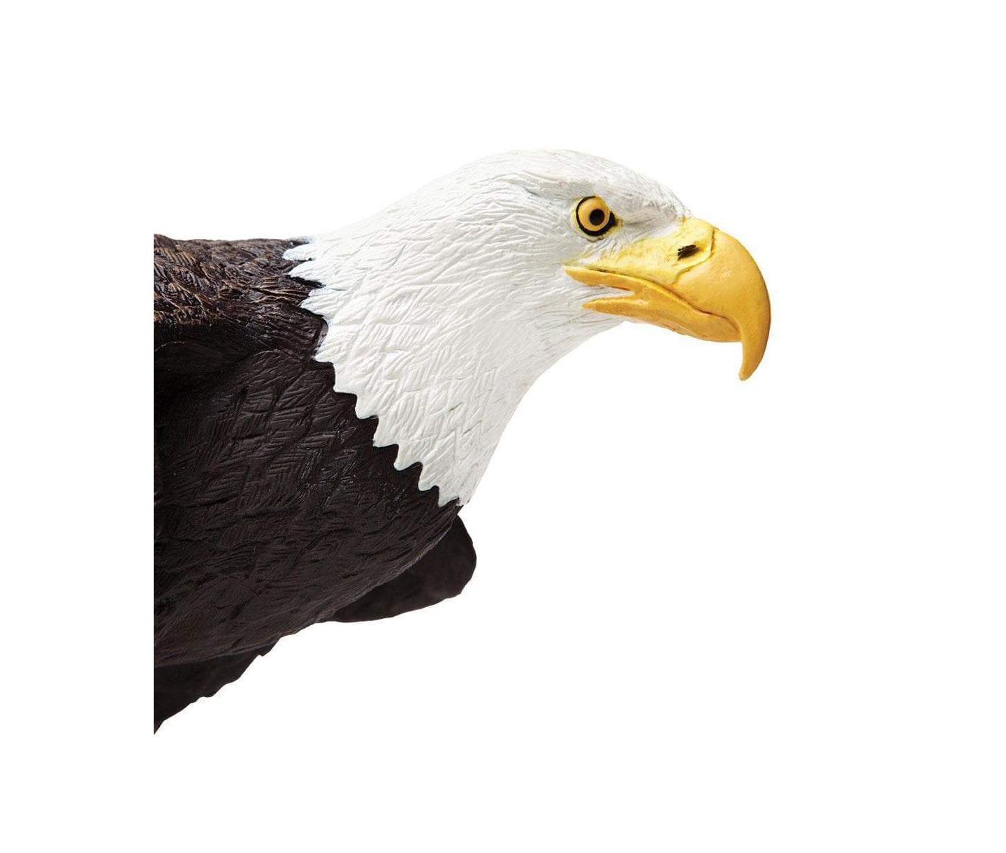 Детская фигурка Safari Ltd. Bald Eagle Incredible Creatures Figurine, Ages 18 Months+ — фото 3