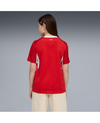 Big Boys and Girls Red Switzerland National Team 2026 Home Replica Jersey