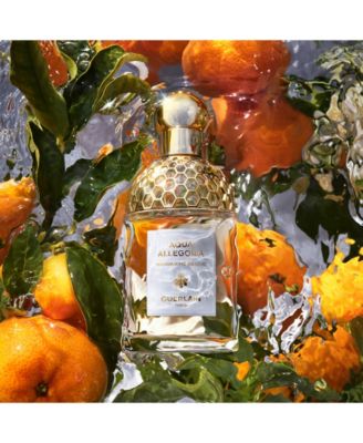 3-Pc. Limited Edition Aqua Allegoria Mandarine Basilic Eau De Toilette Gift Set