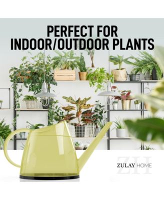Small Watering Can with Long Slim Spout for Indoor Plants, 47oz