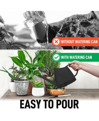 Small Watering Can with Long Slim Spout for Indoor Plants, 47oz