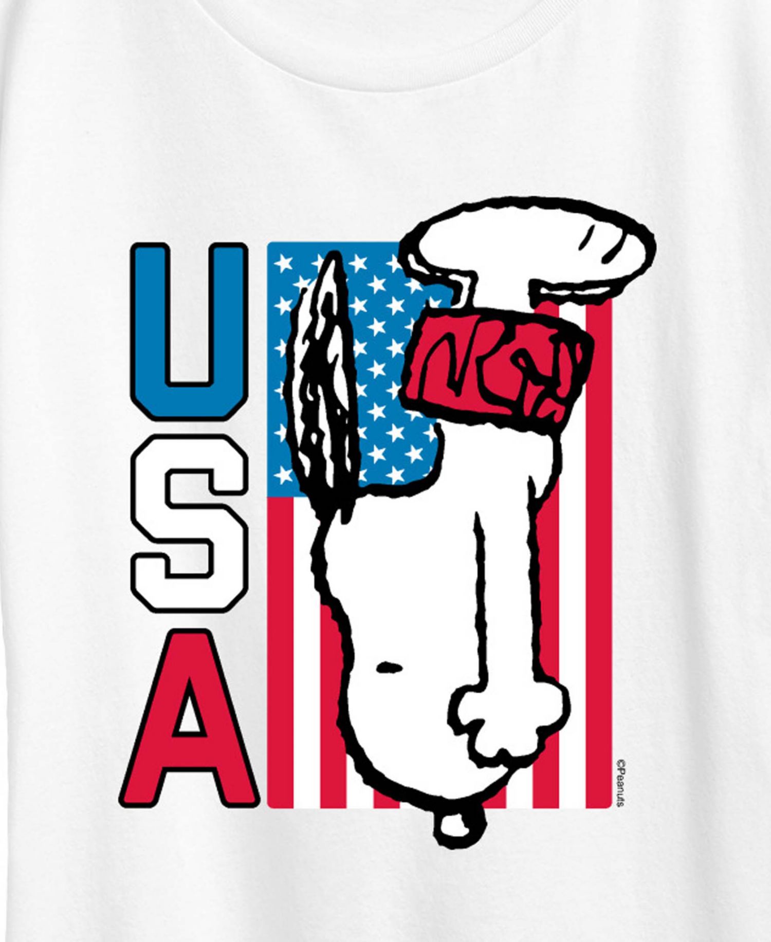 Plus Size Peanuts Snoopy Diving USA Graphic Crewneck T-Shirt