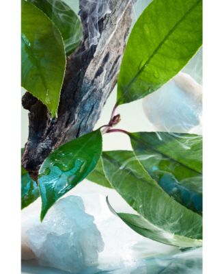 3-Pc. Pour Homme Eau De Parfum Gift Set