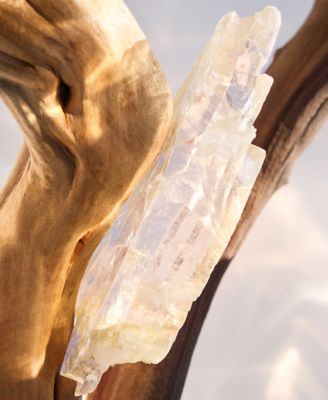 2-Pc. Omnia Crystalline Eau De Parfum Gift Set