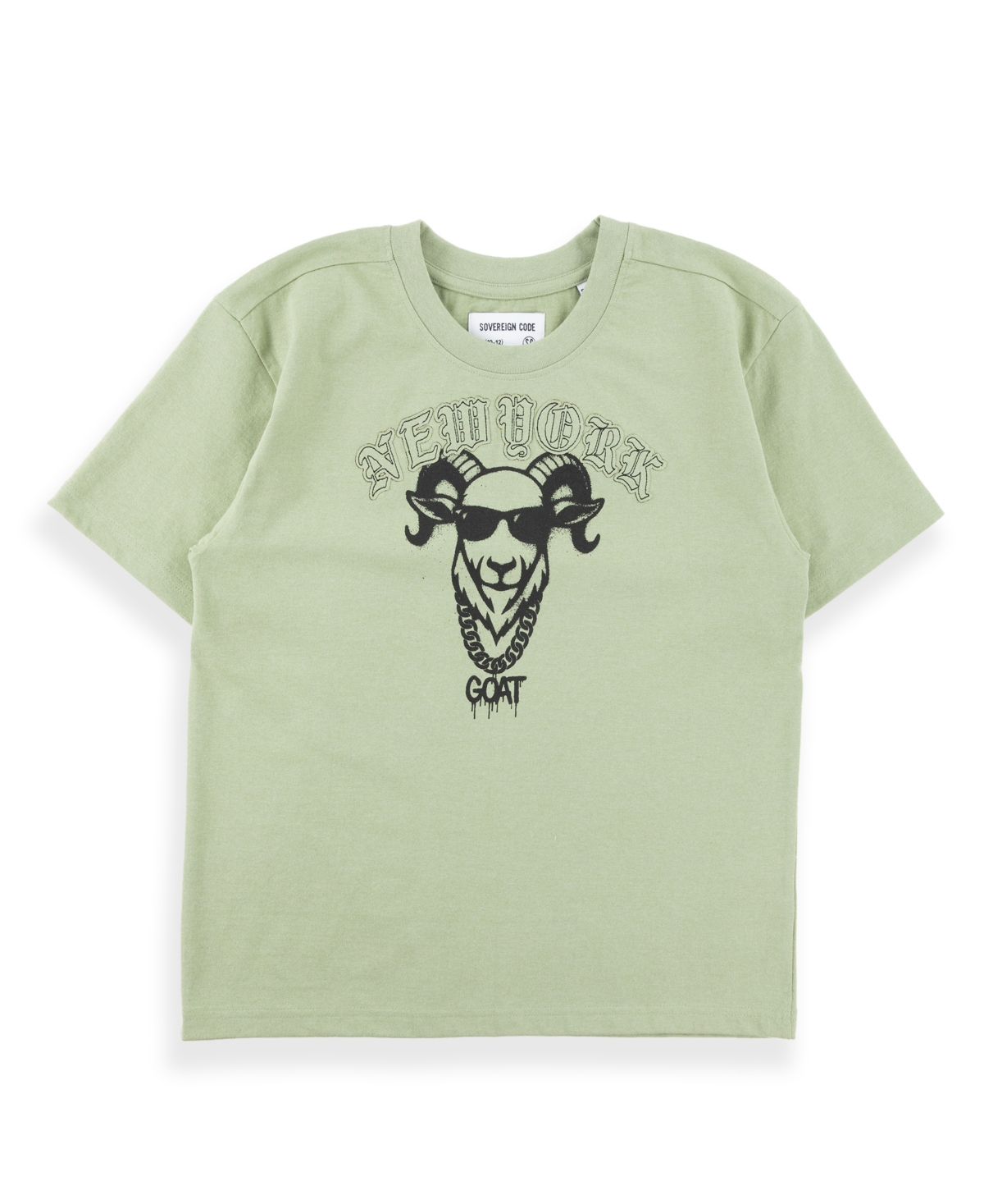 Sovereign Code Boys' 5-20 Garza Short-Sleeve T-Shirt - Sage Green