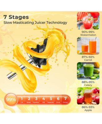 Cold Press Juicer Machine Professional Slow Masticating Juicer with Reverse Button