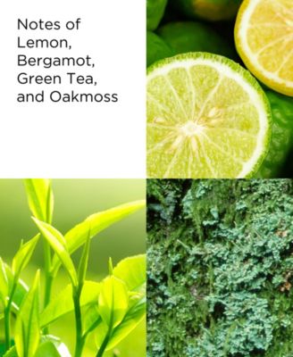 Green Tea Cream Deodorant, 1.5 oz.