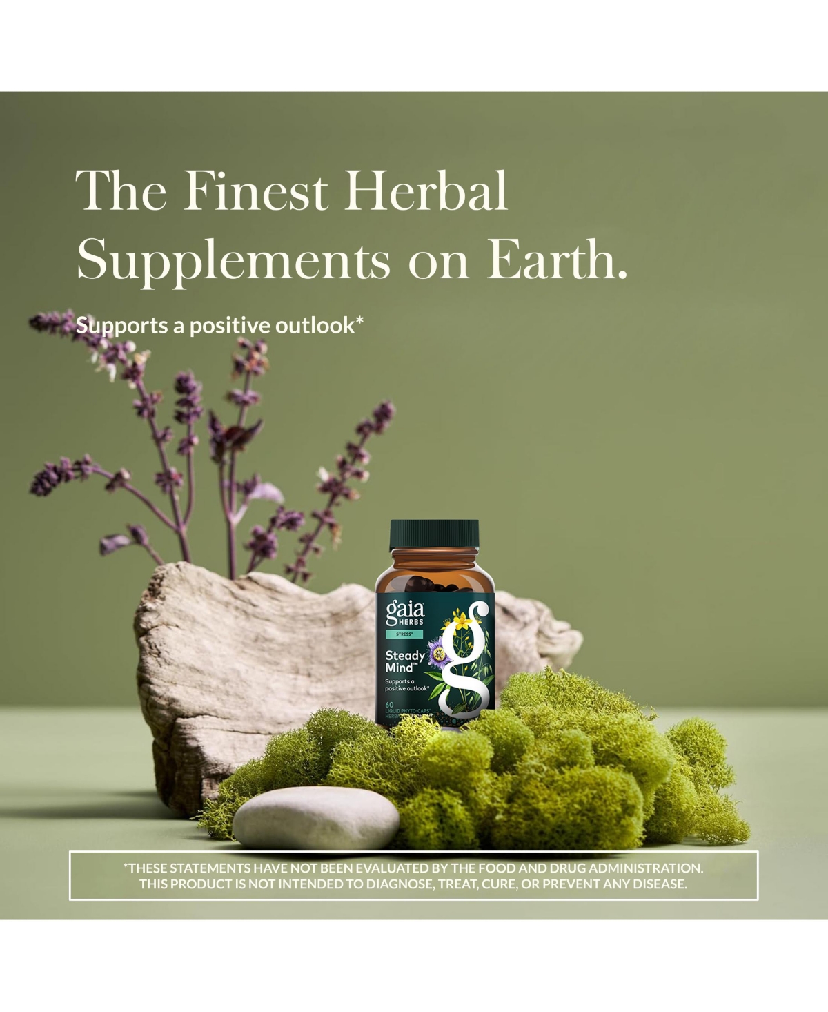 Gaia Herbs Emotional Balance - Stress Support Supplement to Help the Body Cope with Stress - With St. John s Wort, Passionflower, Vervain, and Oats