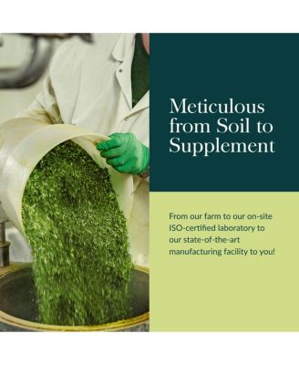 St. John's Wort - Stress Support Supplement - With St. John's Wort - 60 Capsules (60 Servings)