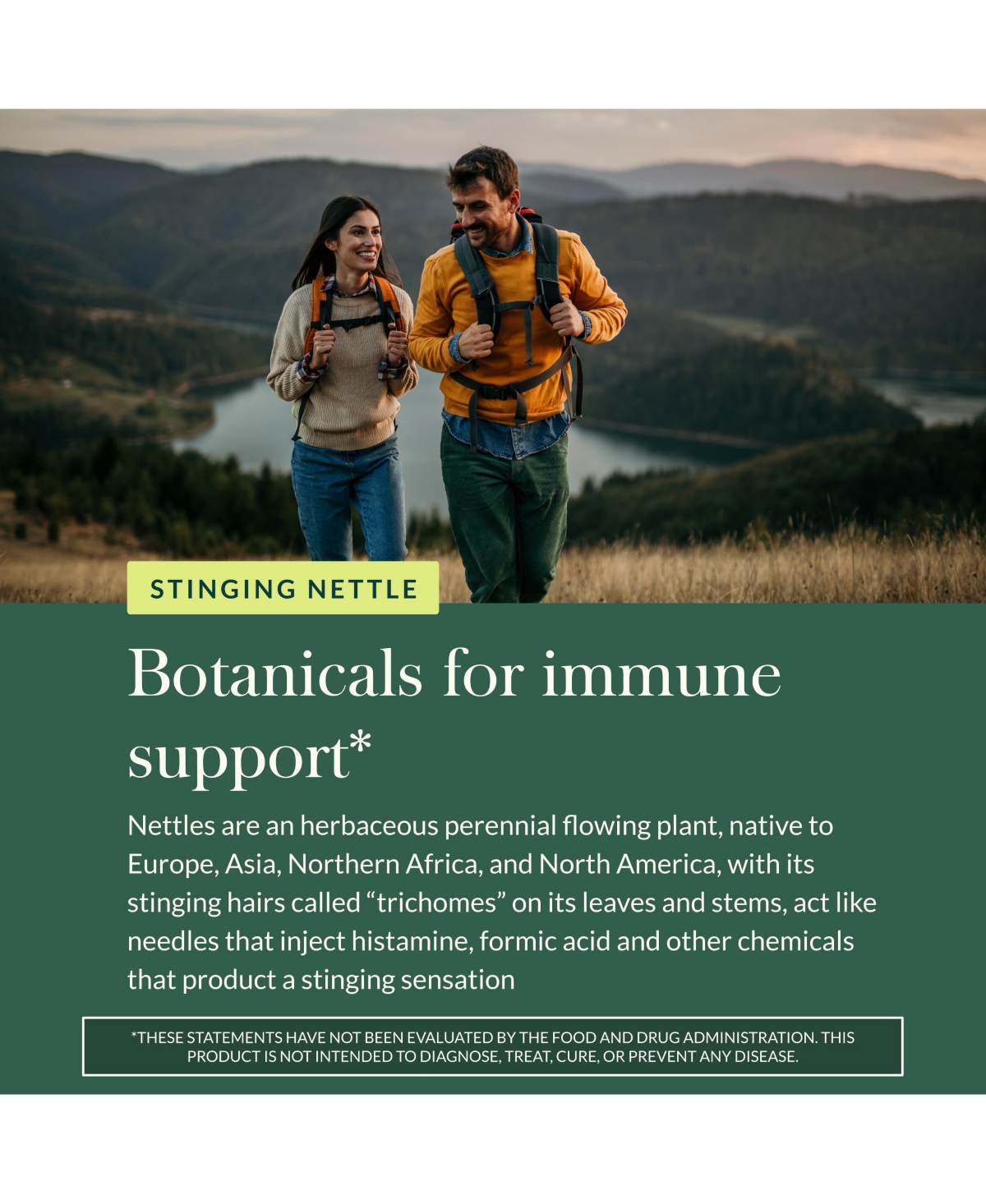 Gaia Herbs Nettle Leaf - Immune, Respiratory, and Sinus Support Supplement - Helps Maintain Upper Respiratory Health - Supports Immune Health