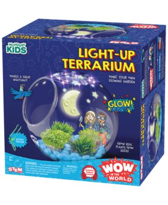 Wow in the World Light-Up Terrarium