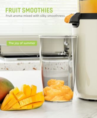 Juicer Machines, Cold Press Juicer, Powerful Slow Juicer with Pulp Seperation For Whole Fruits & Vegetables
