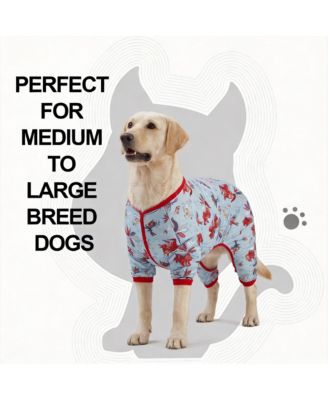 Dog Anxiety Relief & Recovery Suit - Soft, Comfortable, Protective