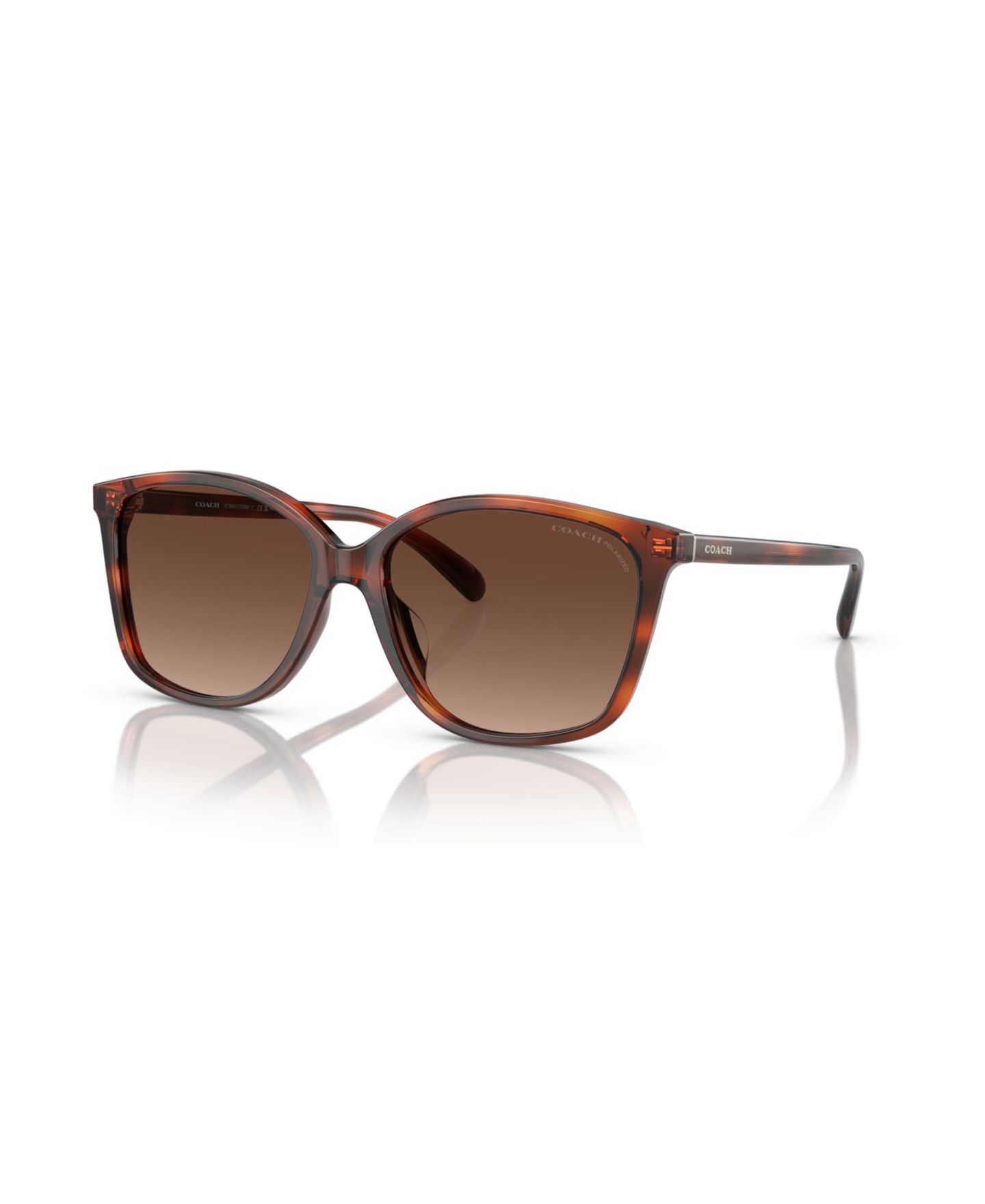 Женские солнцезащитные очки Coach Polarized Sunglasses, CH558 HC8361U, цвет: Карамельный черепаховый — фото 1