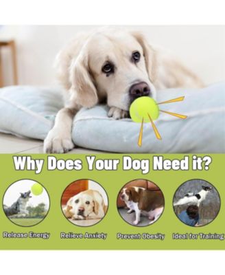 Pack of 20 Squeaky Dog Tennis Balls 2.5 Inch Floatable Fetch Balls in Bright Colors with Mesh Carrying Bag for Pet Training and Exercise