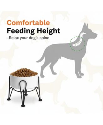 Elevated Dog Ceramic Bowl Set 2 Pack with Anti-slip Non-tip Metal Stand for Dogs Food Water Feeding