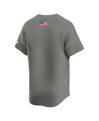 Men's Gray Tennessee Volunteers Alternate Limited Baseball Jersey